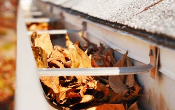 East Lavington gutter cleaning companies